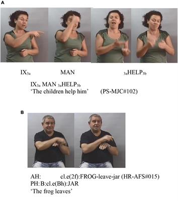 Argument and Verb Meaning Clustering From Expression Forms in LSE